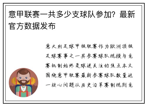 意甲联赛一共多少支球队参加？最新官方数据发布